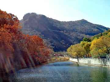 今日生肖运势与水墨星座运势解析，生肖运势与星座运势预测报告